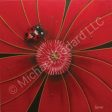 Red Flower with Lady Bug  Sale