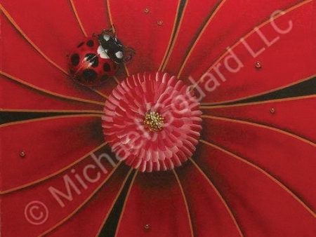 Red Flower with Lady Bug  Sale