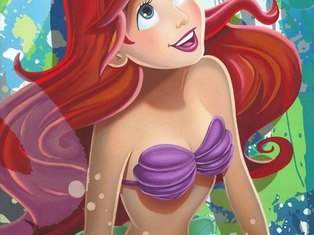 Disney  The Little Mermaid  Supply