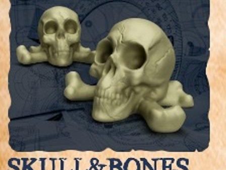 Sleeve Kings - Painted Plastic Resource Tokens: Skull & Bones (10ct) For Cheap